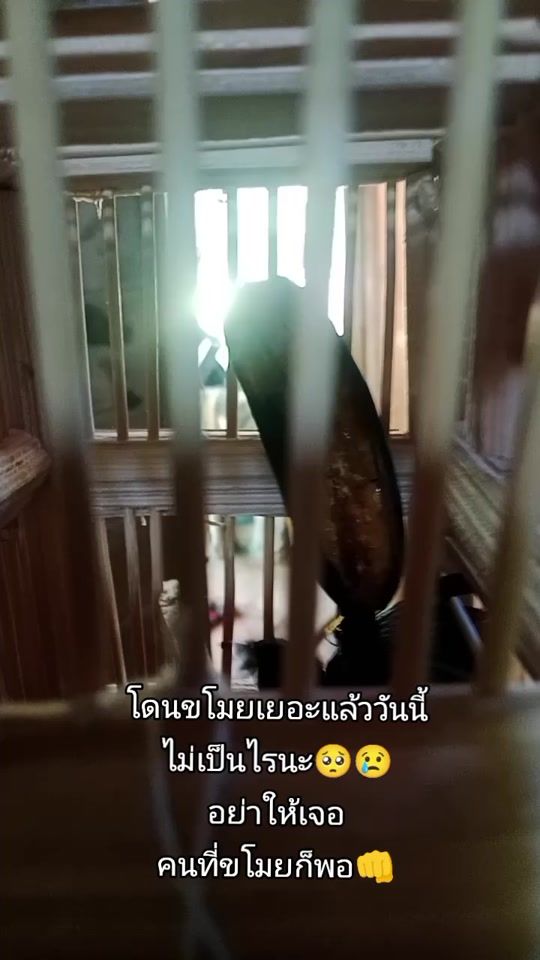 TikTok video thumbnail by _627471