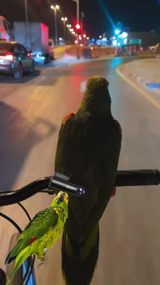 TikTok video thumbnail by hfos1
