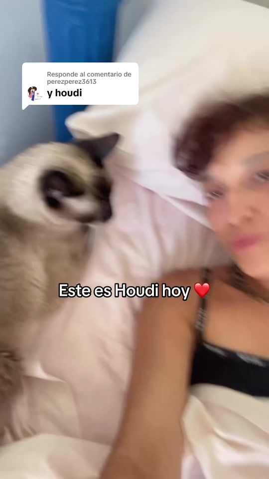 TikTok video thumbnail by arminelgato