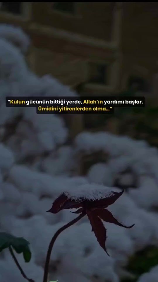 TikTok video thumbnail by bayan.editt