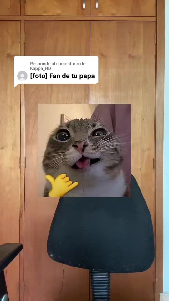 TikTok video thumbnail by johanlyz