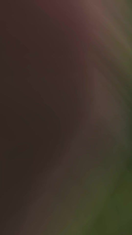 TikTok video thumbnail by alexa12.______