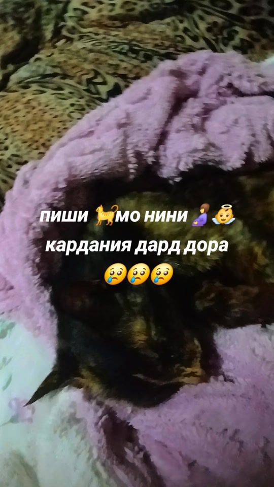 TikTok video thumbnail by edinstvinay5