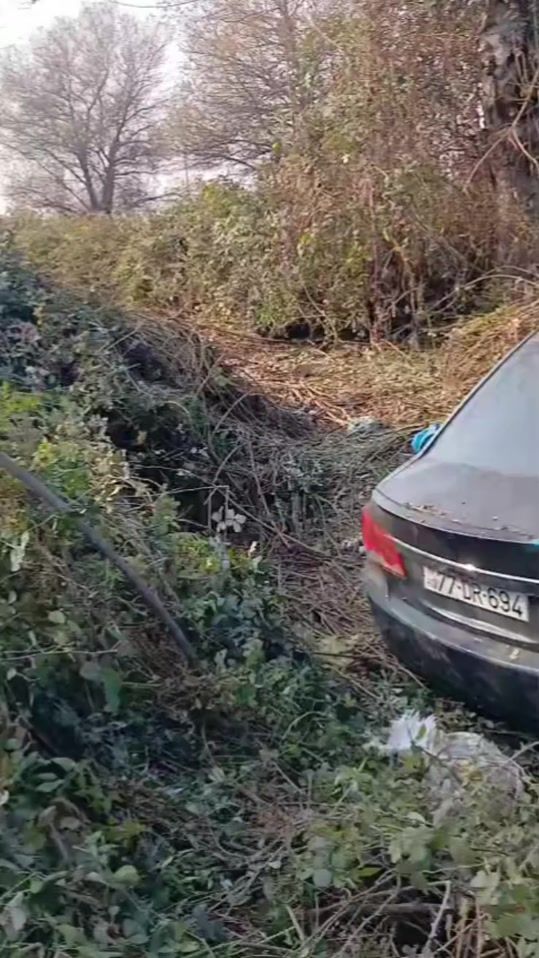 TikTok video thumbnail by turkan_6262