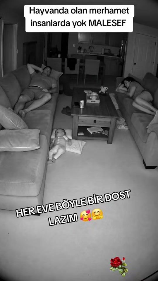 TikTok video thumbnail by mako_047_