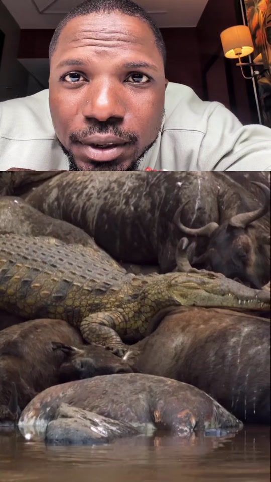 TikTok video thumbnail by arojinle1