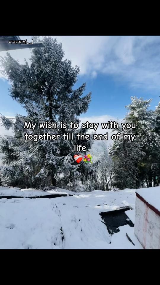 TikTok video thumbnail by deadrel3388