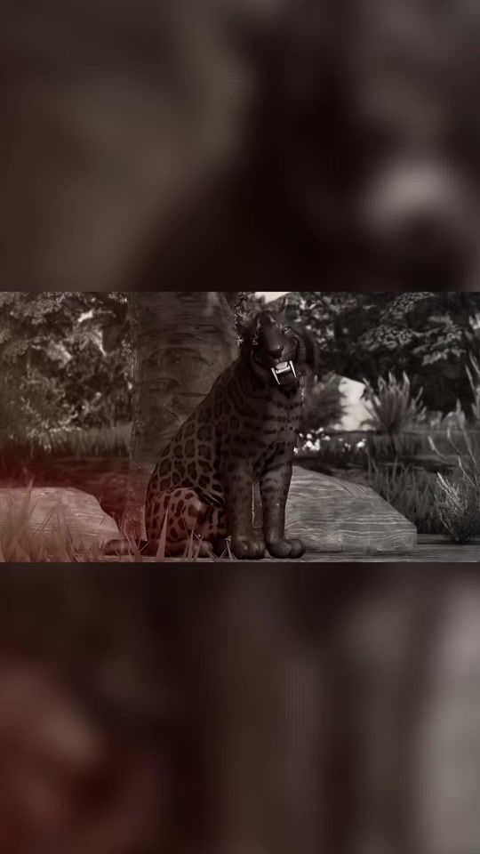 TikTok video thumbnail by primal.ecos