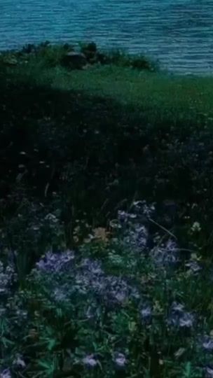 TikTok video thumbnail by _4srn
