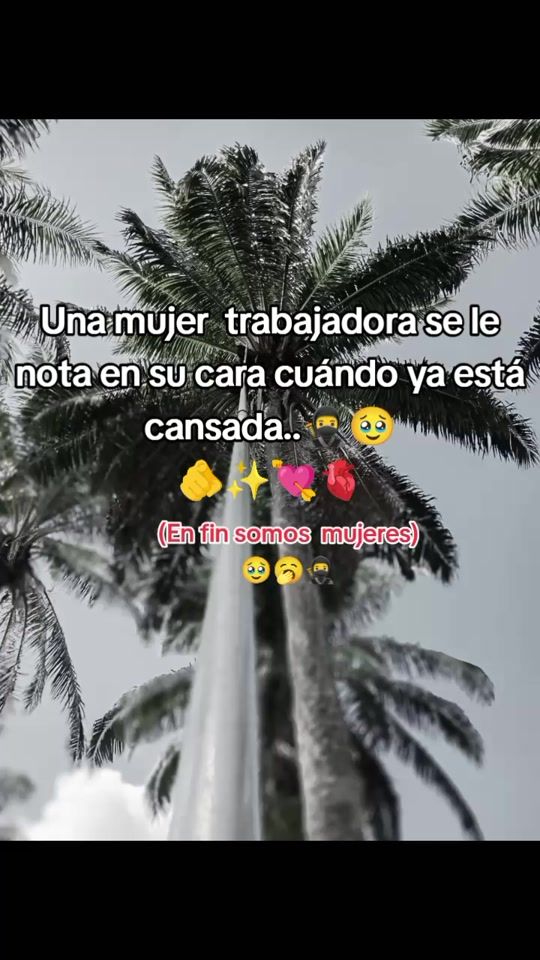 TikTok video thumbnail by adelareyes4812