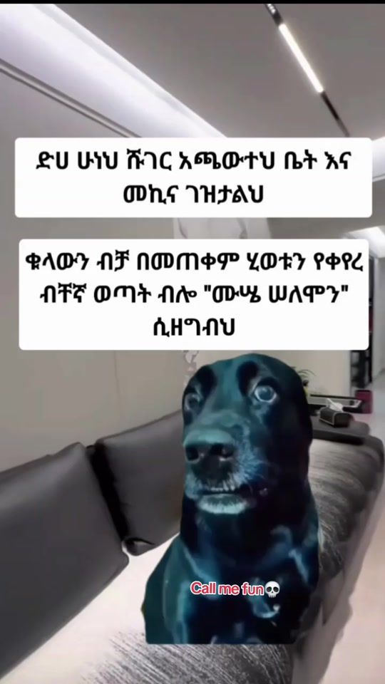 TikTok video thumbnail by qeyufh