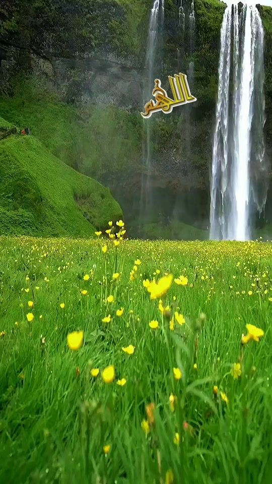 TikTok video thumbnail by user853732072