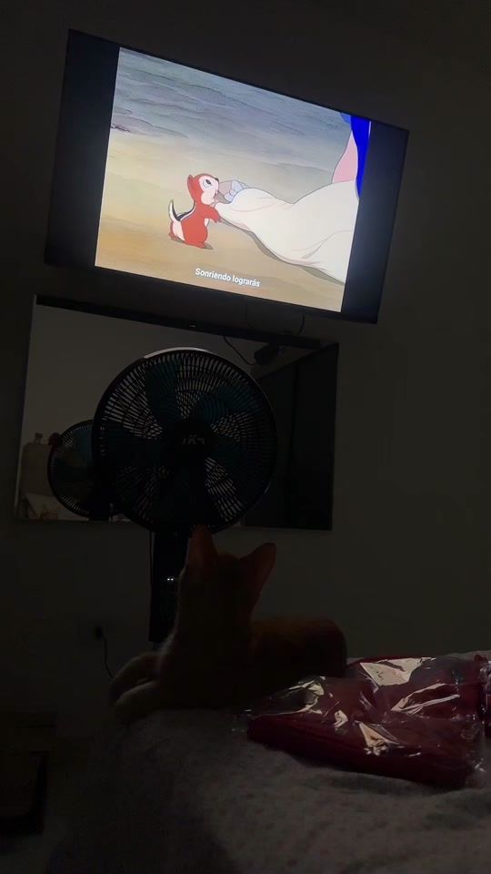 TikTok video thumbnail by lambercillo