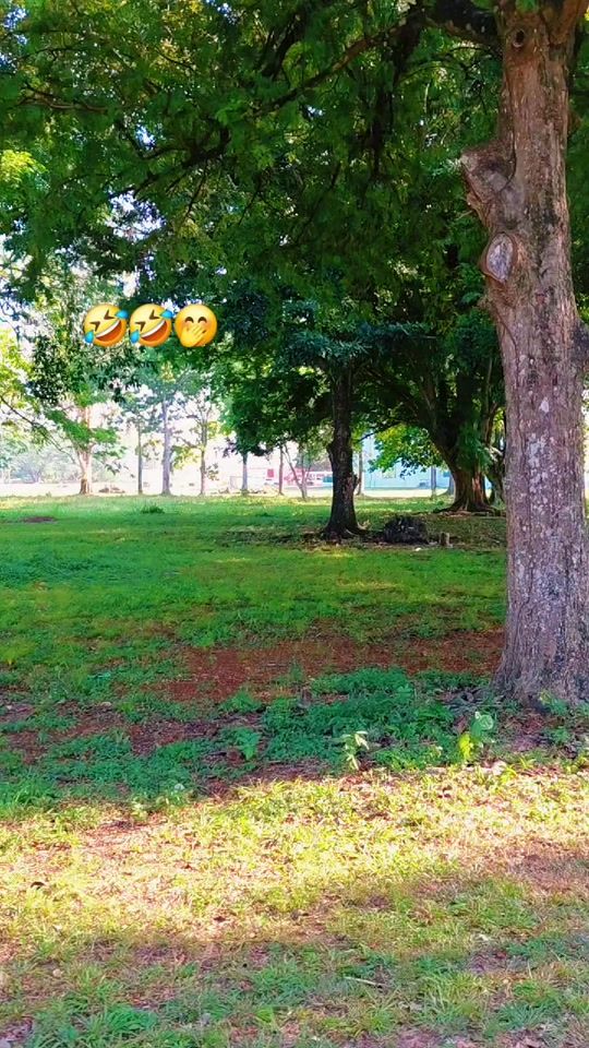 TikTok video thumbnail by mildredlopezjimen