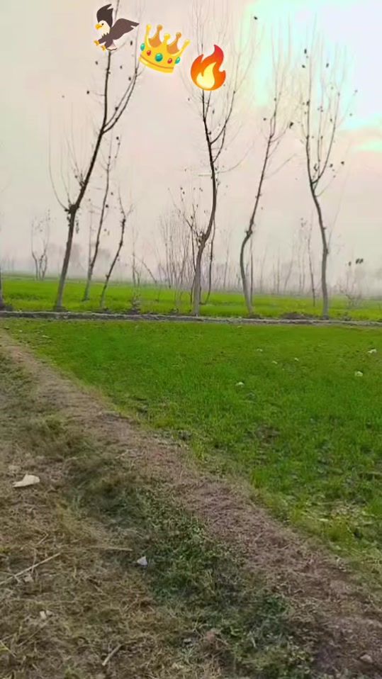 TikTok video thumbnail by naseem.khan0652
