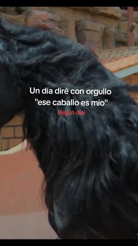 TikTok video thumbnail by mathy_fer