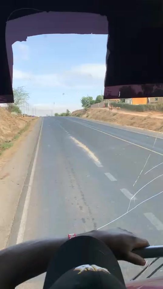 TikTok video thumbnail by linerbus