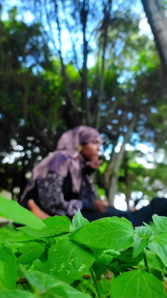 TikTok video thumbnail by fethadeenhassen1
