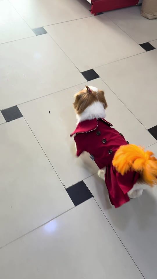 TikTok video thumbnail by seva_heyderzade