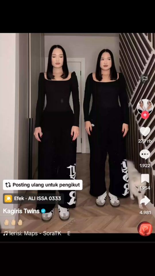 TikTok video thumbnail by pponepiece17agustus04