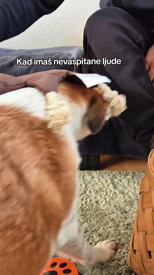 TikTok video thumbnail by micubisica