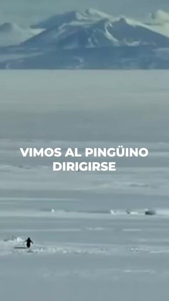 TikTok video thumbnail by hotel_marbellanic