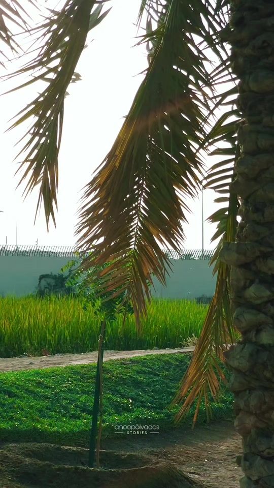 TikTok video thumbnail by anoop_sivadas