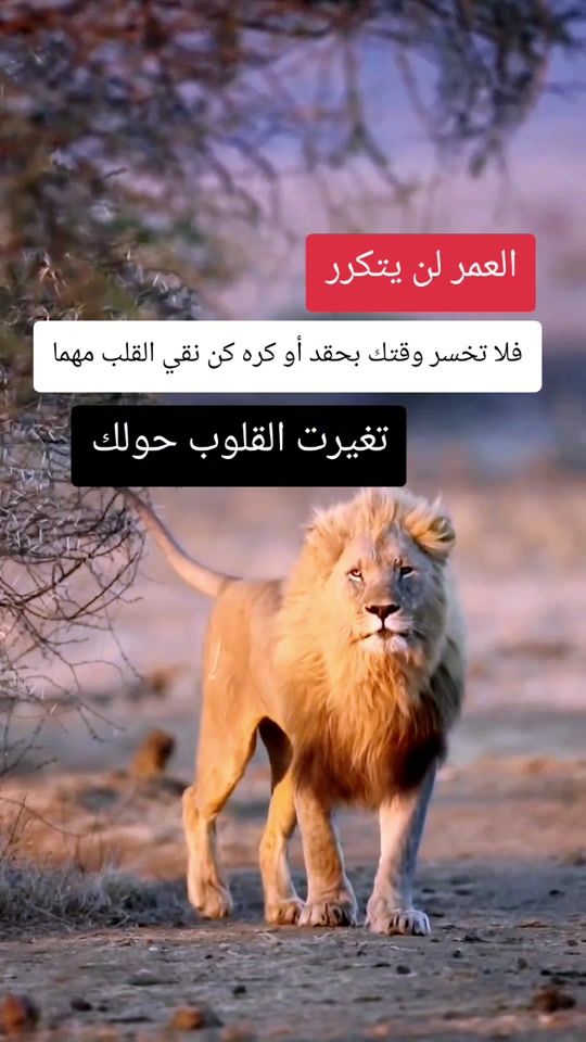 TikTok video thumbnail by cartier.770