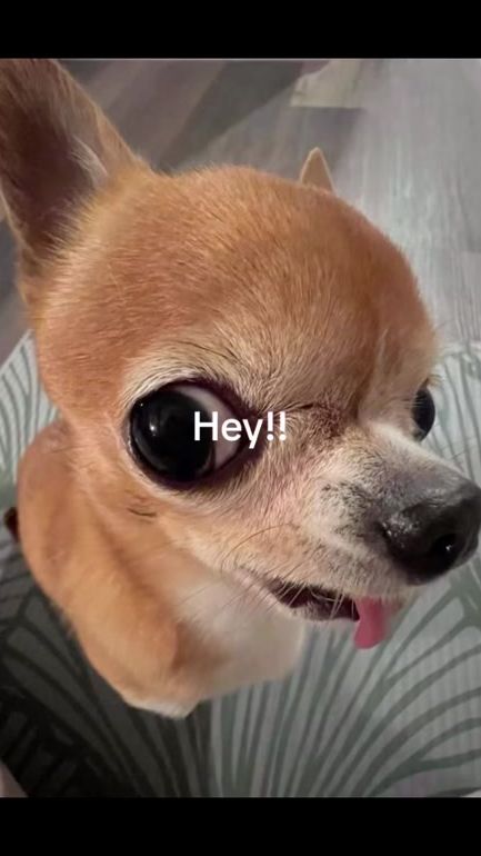 TikTok video thumbnail by sofiaangelina29