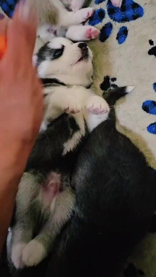 TikTok video thumbnail by josediazb96