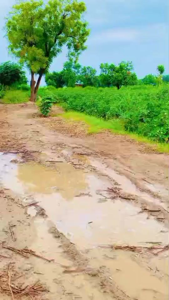 TikTok video thumbnail by amirkahn337