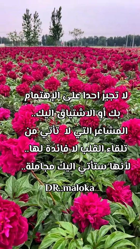 TikTok video thumbnail by user286928675