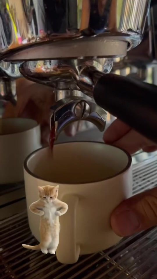 TikTok video thumbnail by coffeemachine25