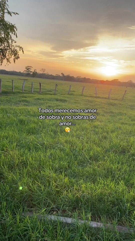 TikTok video thumbnail by jose_andres204