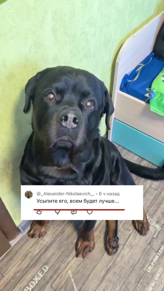 TikTok video thumbnail by morozova3612