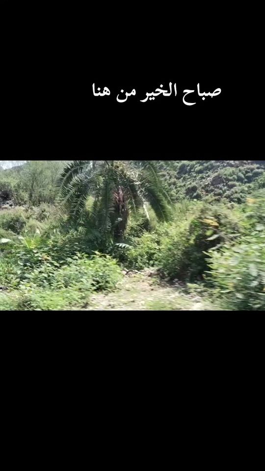 TikTok video thumbnail by abogabaril_10