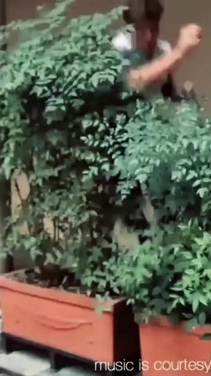 TikTok video thumbnail by 777ulty