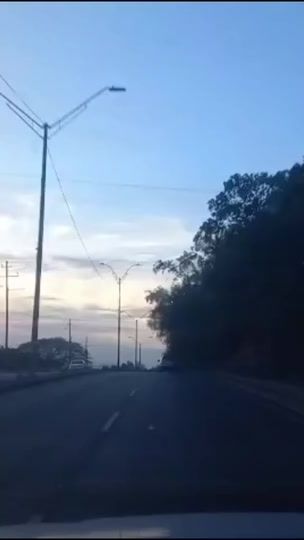 TikTok video thumbnail by lovernacular10