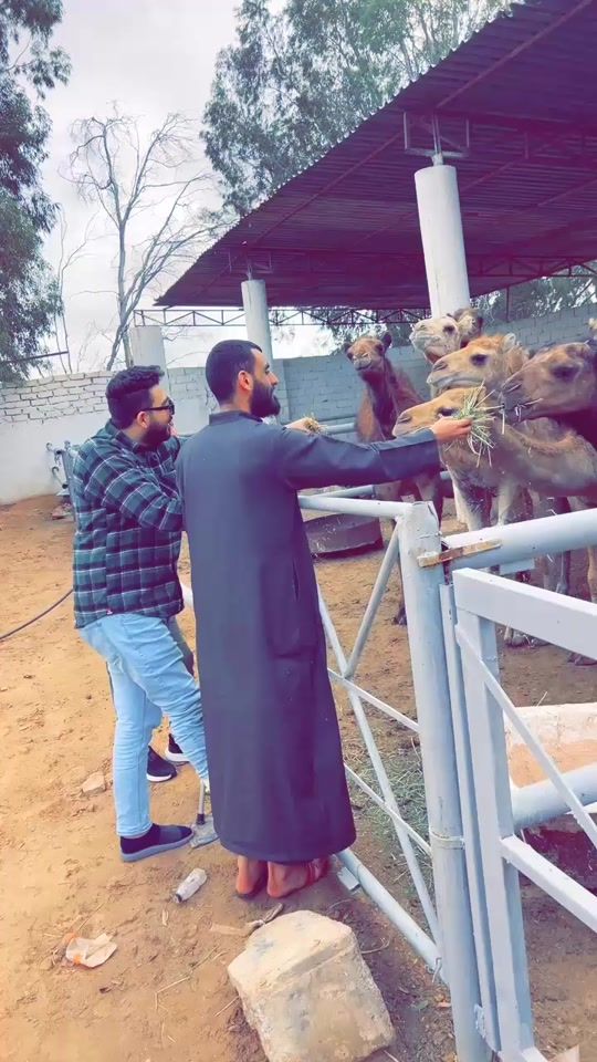 TikTok video thumbnail by userurzz3g7kxf