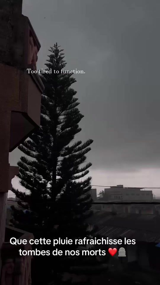 TikTok video thumbnail by dao_dao48