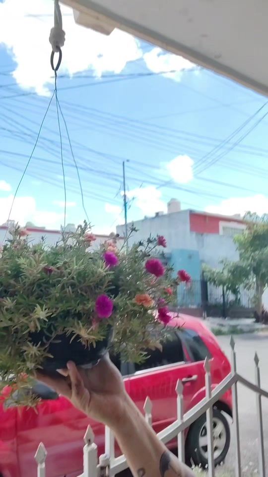 TikTok video thumbnail by monicajacqueline