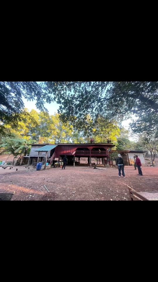 TikTok video thumbnail by lamyai_2003