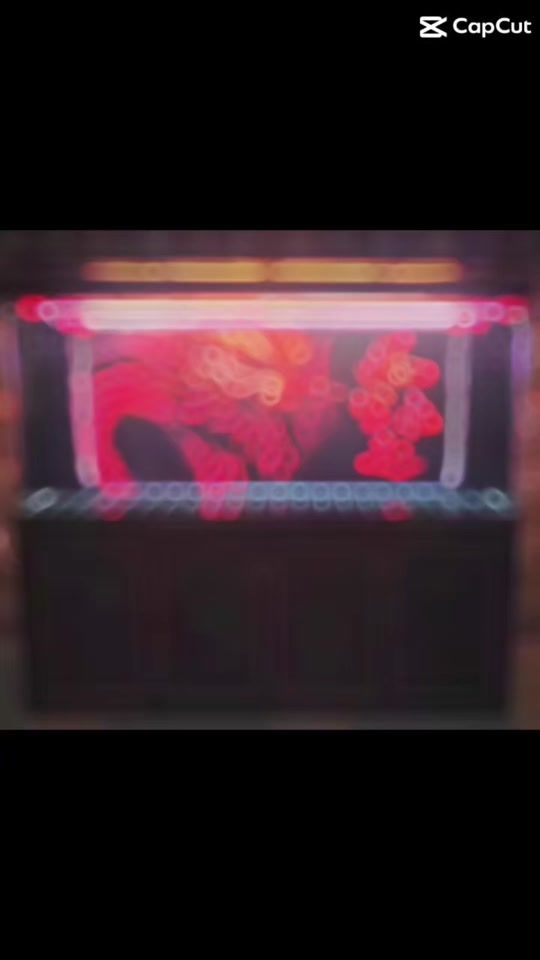 TikTok video thumbnail by wanmaran777jb