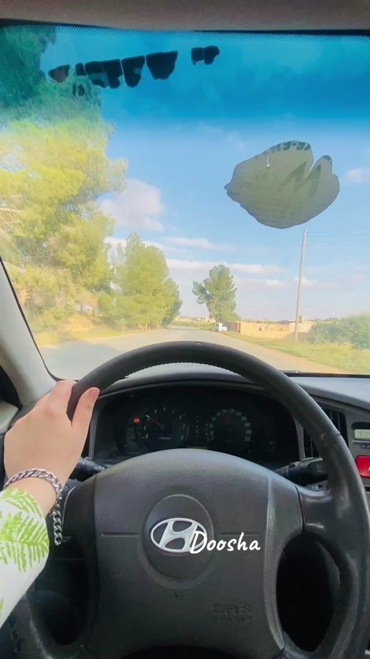 TikTok video thumbnail by dododoosha0