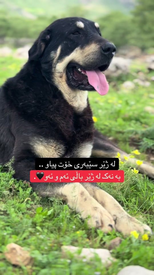 TikTok video thumbnail by hiran801