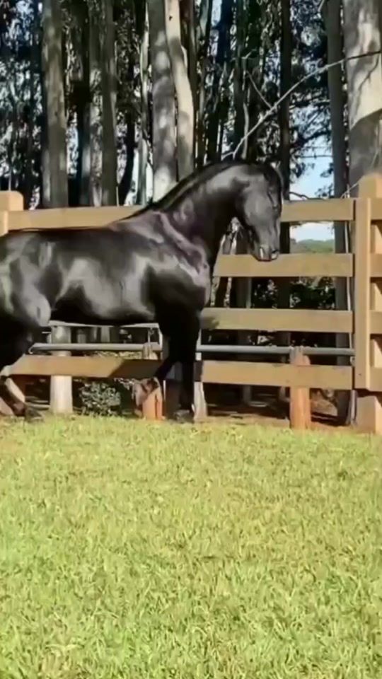 TikTok video thumbnail by jordaniannashmeh263