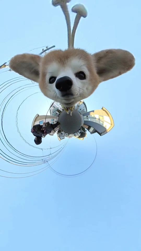 TikTok video thumbnail by pekopeko618