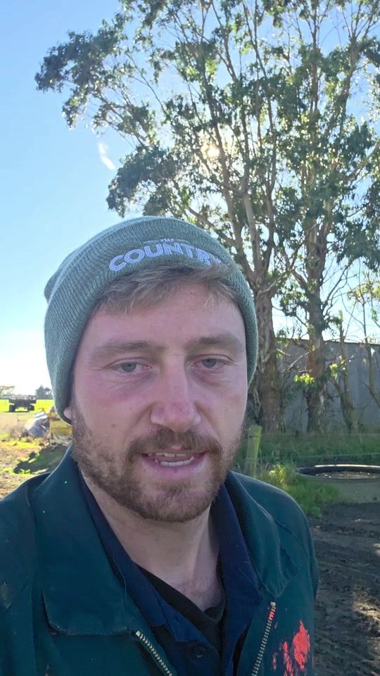 TikTok video thumbnail by georgefarms