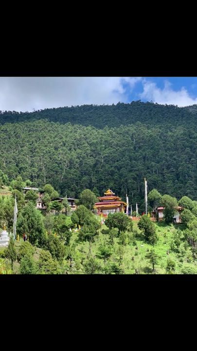 TikTok video thumbnail by daffodils243