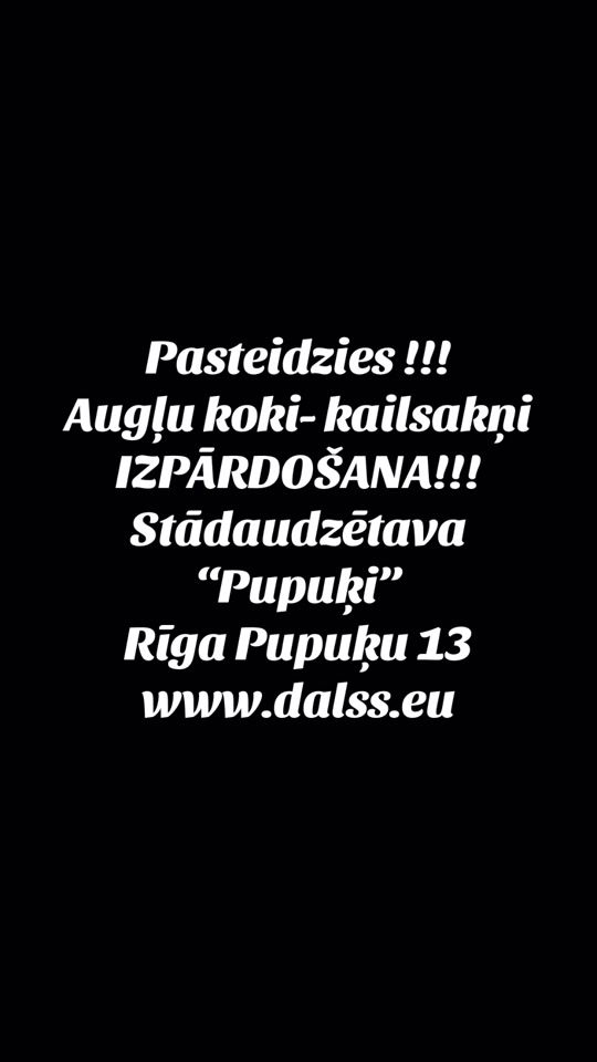 TikTok video thumbnail by dalss.eu
